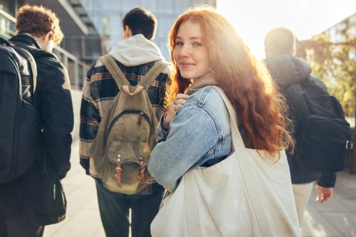 housing Netherland student tips for scam 